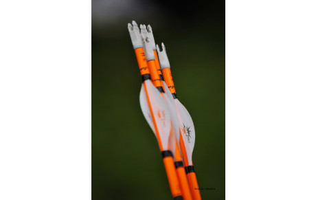 Championnat Départemental FITA Voiron