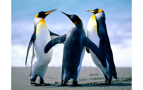 1er circuit de DRE: l'équipe homme en embuscade !!!